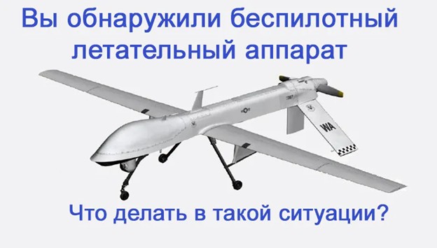 photo 25 08 2025 02