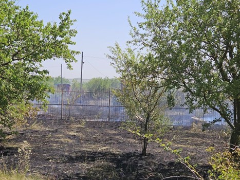 photo 11 07 2025 05