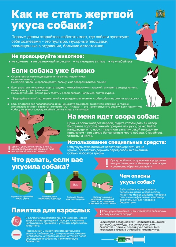 Памятка от укуса собаки