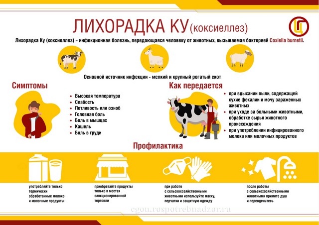 Памятка Лихорадка КУ