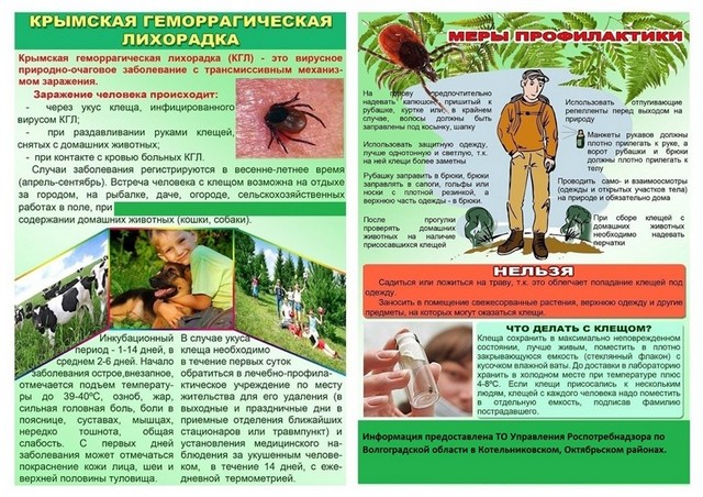 Лихорадка КУ