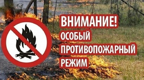 Пожарный период 2025